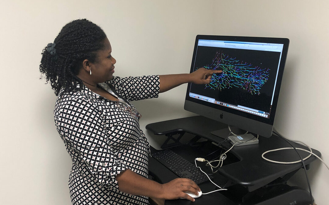 Branching Out: How Math Can Help Better Understand Diseases