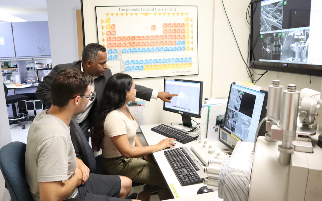 Quest for Quantum Materials